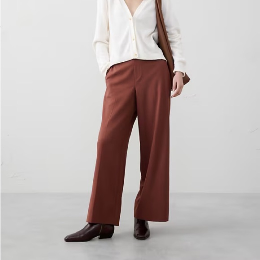 Banana Republic Wide-Leg Pants in Rust Brown